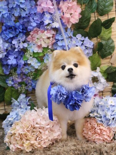 20250628モコくん